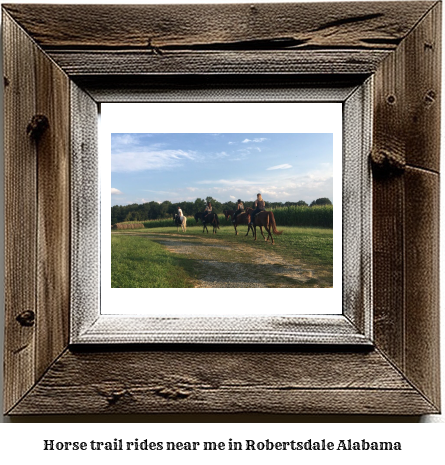 horse trail rides near me in Robertsdale, Alabama